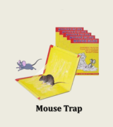  Mouse Trap
